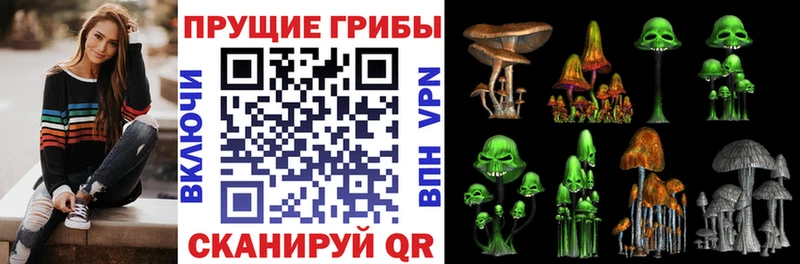 Псилоцибиновые грибы Psilocybine cubensis  blacksprut зеркало  Мытищи 